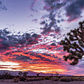 MRV Sunset